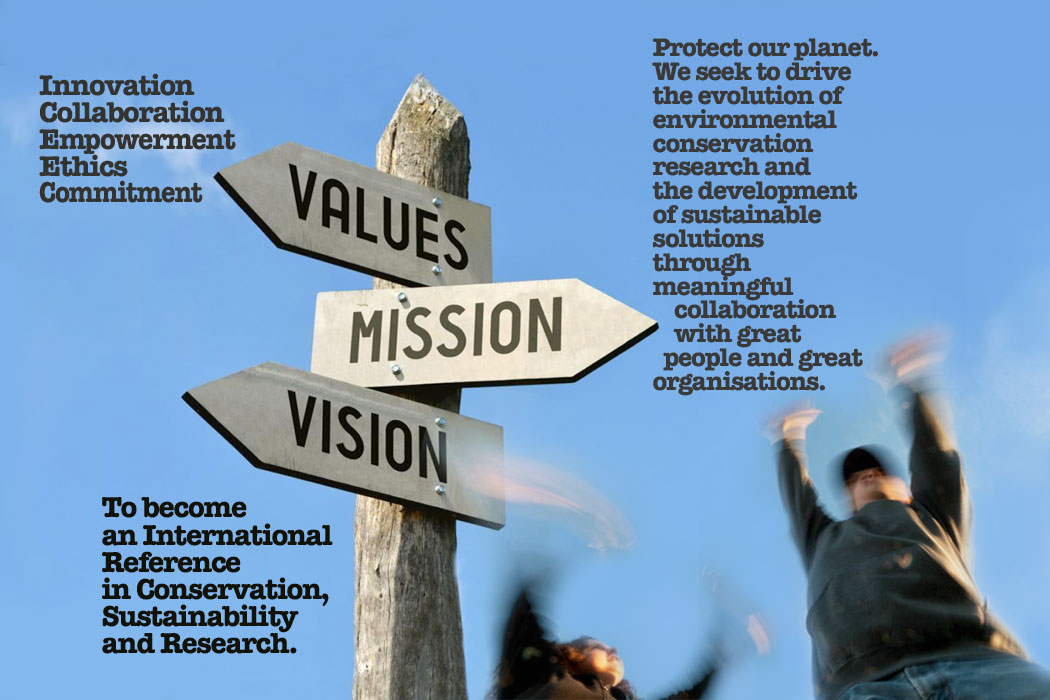 Vision Statement square